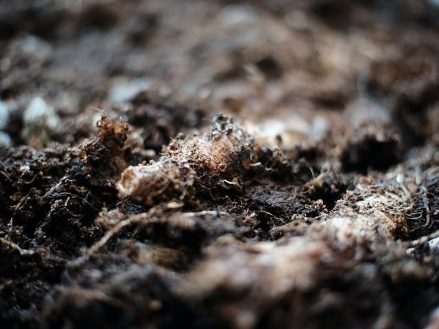 Raised-bed garden blend